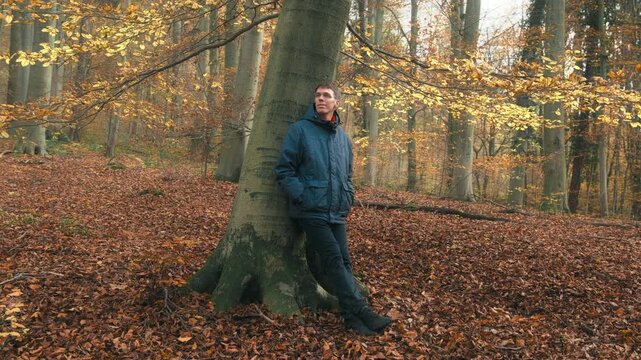 Man standing under a beech tree and enjoying the fresh forest air and the view of the wholesome nature in autumn