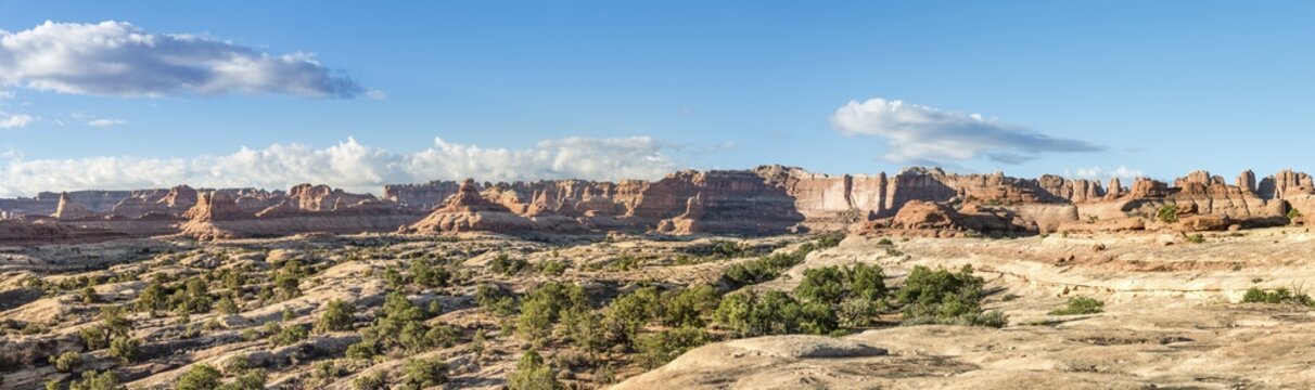 Pinnacles, rocky plateau, rock formations The Needles District, Canyonlands National Park, Utah, USA
