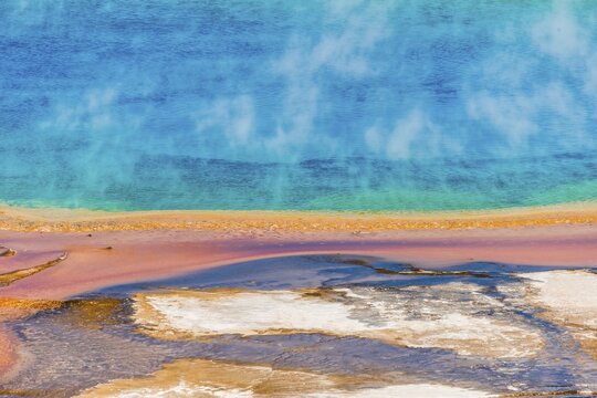 Colored mineral deposits at the edge sr steaming hot spring, detail photo, Grand Prismatic Spring, Midway Geyser Basin, Yellowstone National Park, Wyoming, USA