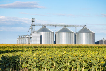 Modern grain silos and agricultural fields in rural farming landscape © Cristi