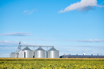 Modern grain silos and agricultural fields in rural farming landscape © Cristi