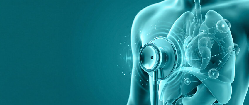 Stethoscope examining human internal organs and lungs cardiology medical banner