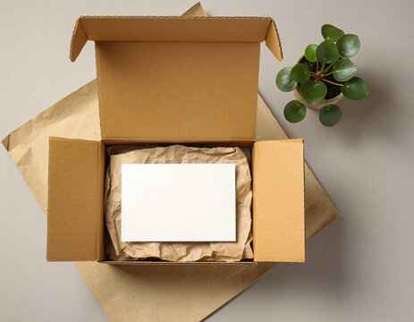 Nachhaltiges Unboxing-Set mit braunem Recyclingkarton und Zimmerpflanze