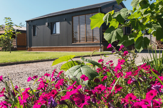 Bright pink petunia flower garden beside modern cabin with green lawn and gravel pathway, showcasing residential landscaping, summer gardening and outdoor living