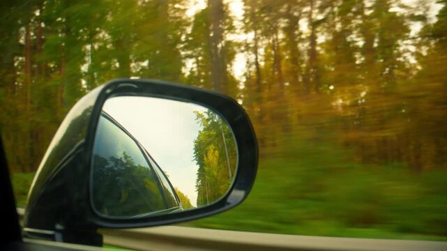 Car side mirror reflects forest blur during golden hour drive. Trees race past, sunlight filters through leaves. Serene motion captures peaceful road trip essence. Ideal for travel, nature