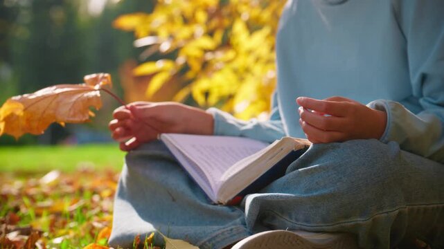 Person sits cross-legged in autumn park, reading book. Hands hold fallen maple leaf, sunlight glows warmly. Scene feels calm, peaceful, and reflective. Perfect for educational, wellness