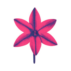 Obraz premium PNG Vibrant pink flower illustration