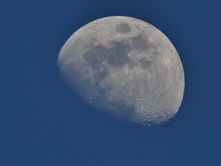  Zoom moon gray craters sunset closeup © Navacepe