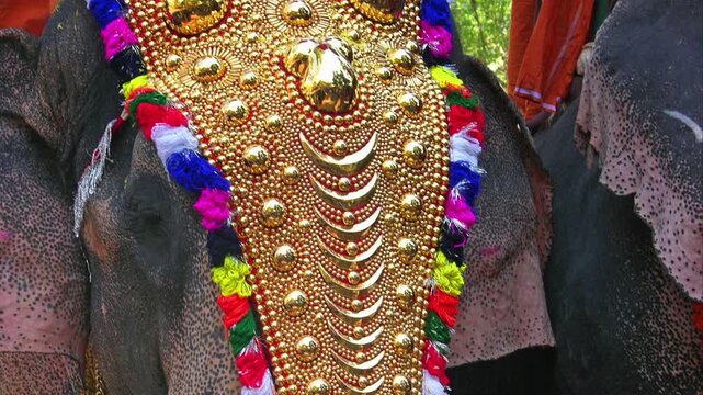 Decorated Temple elephant at a Hindu festival in Kerala , India
