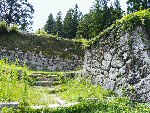 	緑豊かな苔むした日本の城跡石垣