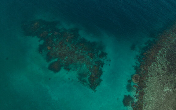 Aerial view of a vibrant coral reef submerged in clear turquoise water transitioning into deep blue ocean in Indonesia.
