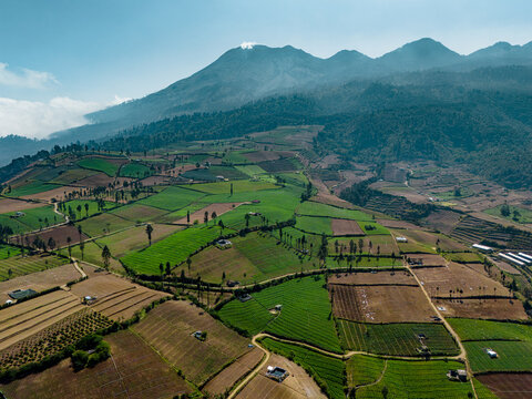 Aerial view of Brakseng farmland with lush green terraced fields and mountain backdrop in Batu, East Java, Indonesia.