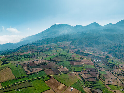 Aerial view of the Brakseng farmland featuring terraced fields and lush green crops set against mountain slopes in Batu, East Java, Indonesia.