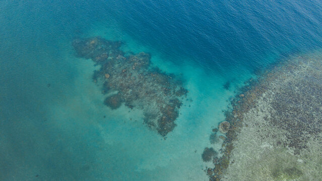 Aerial view of a vibrant coral reef beneath clear turquoise waters in Indonesia.