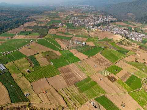 Aerial view of the Brakseng agricultural area featuring a patchwork of green and brown vegetable fields, small farm structures, and rural paths in Batu, East Java, Indonesia.