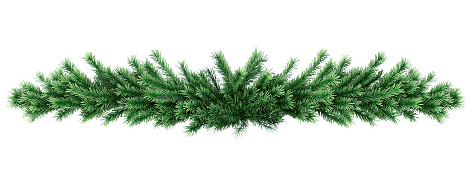 Green christmas pine branch border garland isolated on transparent background