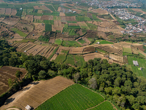Aerial view of Brakseng farmland featuring terraced vegetable fields, lush green crops, and small rural structures nestled in the hilly landscape of Batu, East Java, Indonesia.