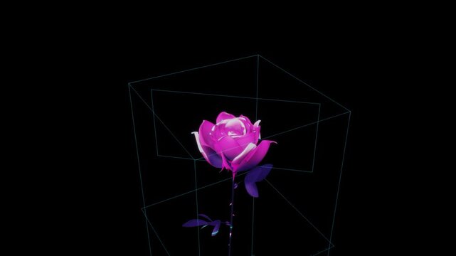 Magenta 3D rose blooms inside a glowing wireframe bounding box over a dark space in a stylized CGI animation