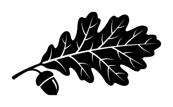 Oak leaf and acorn black silhouette vector icon illustration design
