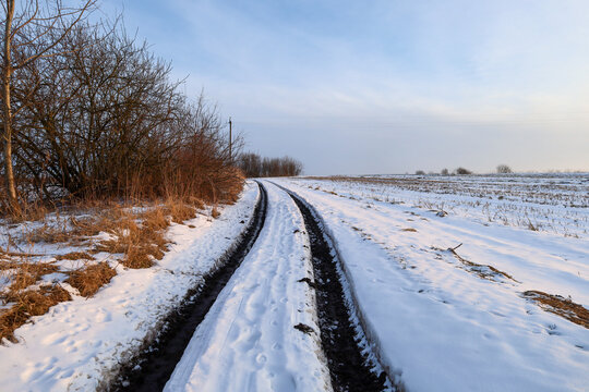A snowy dirt road with deep ruts winds through a winter field along bare bushes. The clear light sky emphasizes a cold and fresh day in the countryside. The landscape conveys a feeling of peace and qu