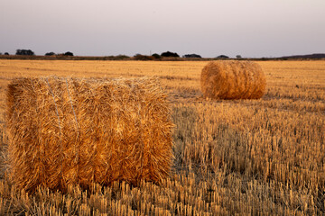 hay bales in the field © Bohovin Zhanna