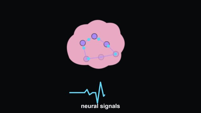 Animated Brain Neural Activity and Signal Pathways