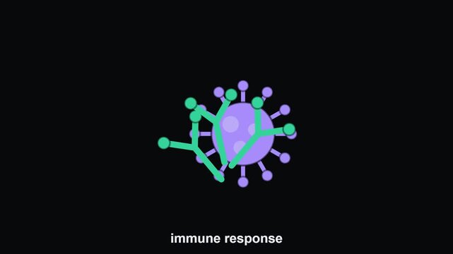 Animated Antibody Neutralizing Virus Immune Response