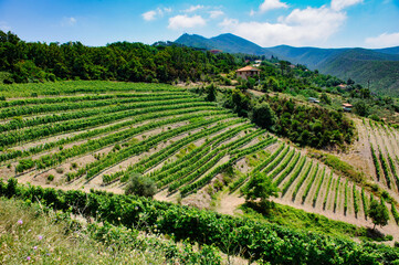 Obraz premium Mountain landscape at summer along the Passo del Bracco, in Genoa province, Italy
