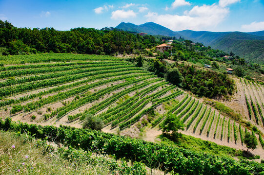 Mountain landscape at summer along the Passo del Bracco, in Genoa province, Italy