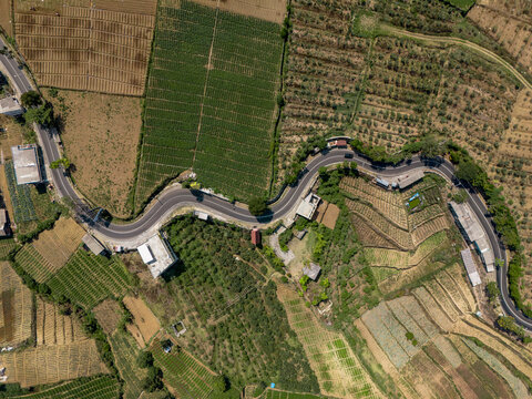 Aerial view of the winding road connecting Batu-Mojokerto and Pacet via Cangar, surrounded by lush agricultural fields and terraced farmland in Batu, East Java, Indonesia.