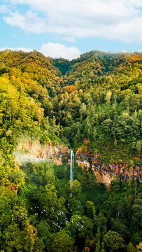 Aerial view of Coban Rondo Waterfall cascading down a rocky cliff surrounded by dense tropical forest and lush greenery in the highlands, Kecamatan Pujon, Jawa Timur, Indonesia.