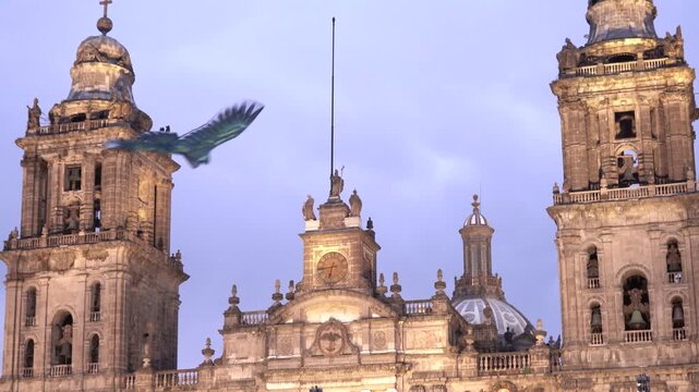 Mexico City Metropolitan Cathedral towers glow at sunset, kite soars above historic baroque bell towers with handheld stable view