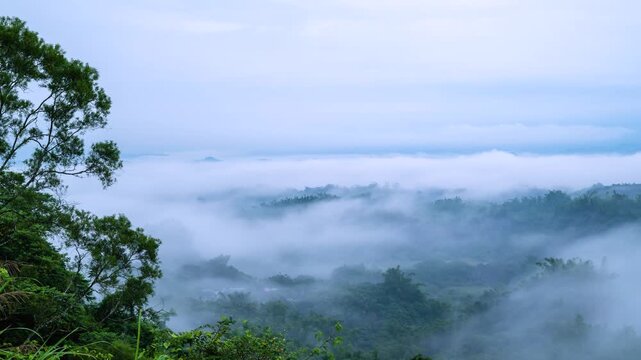 Breathtaking morning view of lush green forests shrouded in thick rolling fog and clouds in Erliao, Tainan, Taiwan.