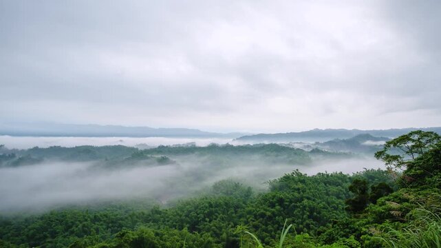 Scenic view of early morning fog and low clouds rolling over lush green forest mountains in Erliao, Tainan, Taiwan.