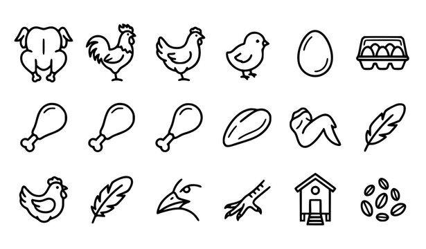 Chicken and Poultry Outline Icon Set with Rooster Eggs Drumsticks Wings Fillets and Farm Food Vector Symbols