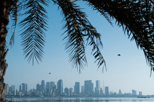 Aerial view of the Mumbai skyline featuring modern skyscrapers along the coast framed by palm fronds under a clear blue sky in Mumbai, Maharashtra, India.