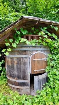 Small rustic wooden hut designed in the shape of a wine barrel, surrounded by lush green vegetation in the Swiss countryside. The unusual wooden structure and natural setting create a charming and aut
