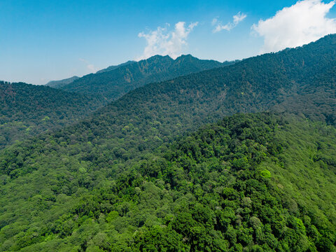 Aerial view of the lush green mountain slopes of Gunungsari in Bumiaji covered in dense tropical forest under a clear blue sky in Batu, East Java, Indonesia.