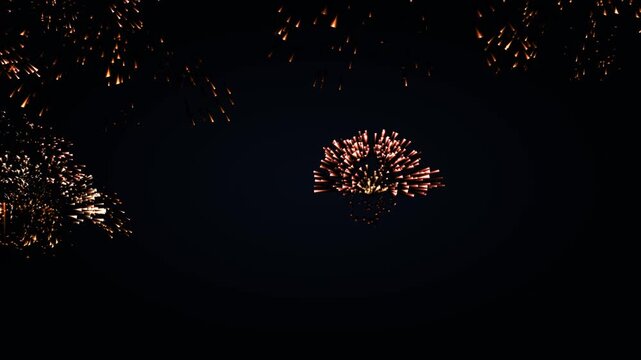 Cinematic colorful palm fireworks burst across a dark night sky with branching arms, drooping trails, glowing sparks, bright cores and falling embers in a seamless 4K loop.