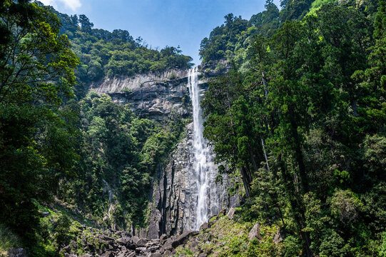 深い緑の原生林と断崖絶壁を流れ落ちる美しい那智の滝風景