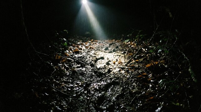 Flashlight Beam Shining on Muddy Footprints in Dark Creepy Forest