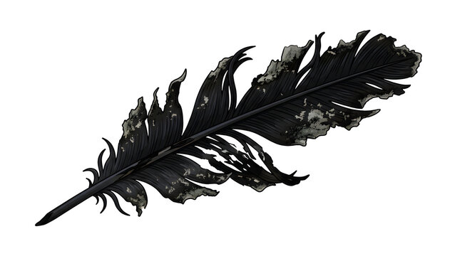 Charred black feather with realistic ash details and singed edges representing dark fantasy theme isolated on a transparent background vector illustration.