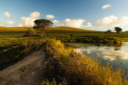 pond and nature trail, Stanford, South Africa at sunset