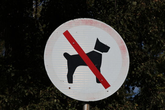 Round no dogs sign marking a dog walking restriction in a public park