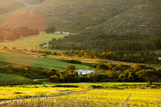 farm land , valley and Klein Mountains, Stanford, South Africa at sunset