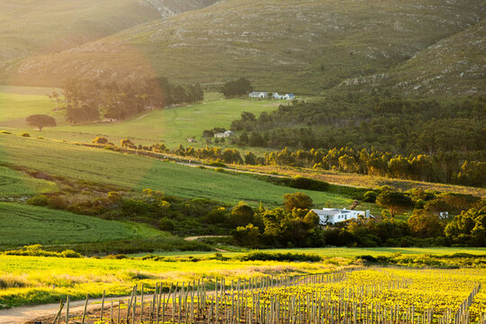 farm land , valley and Klein Mountains, Stanford, South Africa at sunset