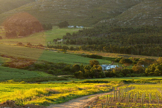 farm land , valley and Klein Mountains, Stanford, South Africa at sunset