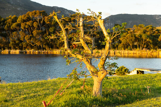nature trail and pond at sunset, Stanford, South Africa