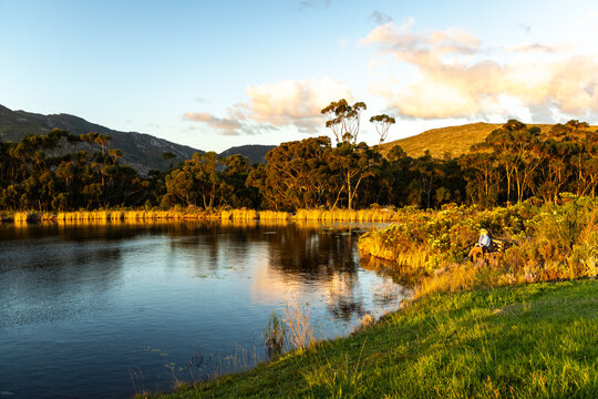 placid pond, water lilies, and reflections, Stanford, South Africa