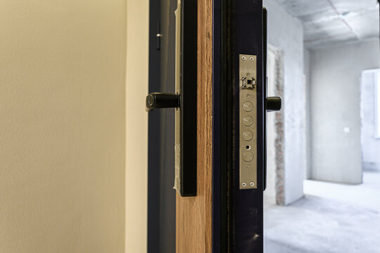 Dark metal door with wood trim, black lever handle, brass multi‑button lock panel, visible latch mechanism, clean frame edge, modern security design